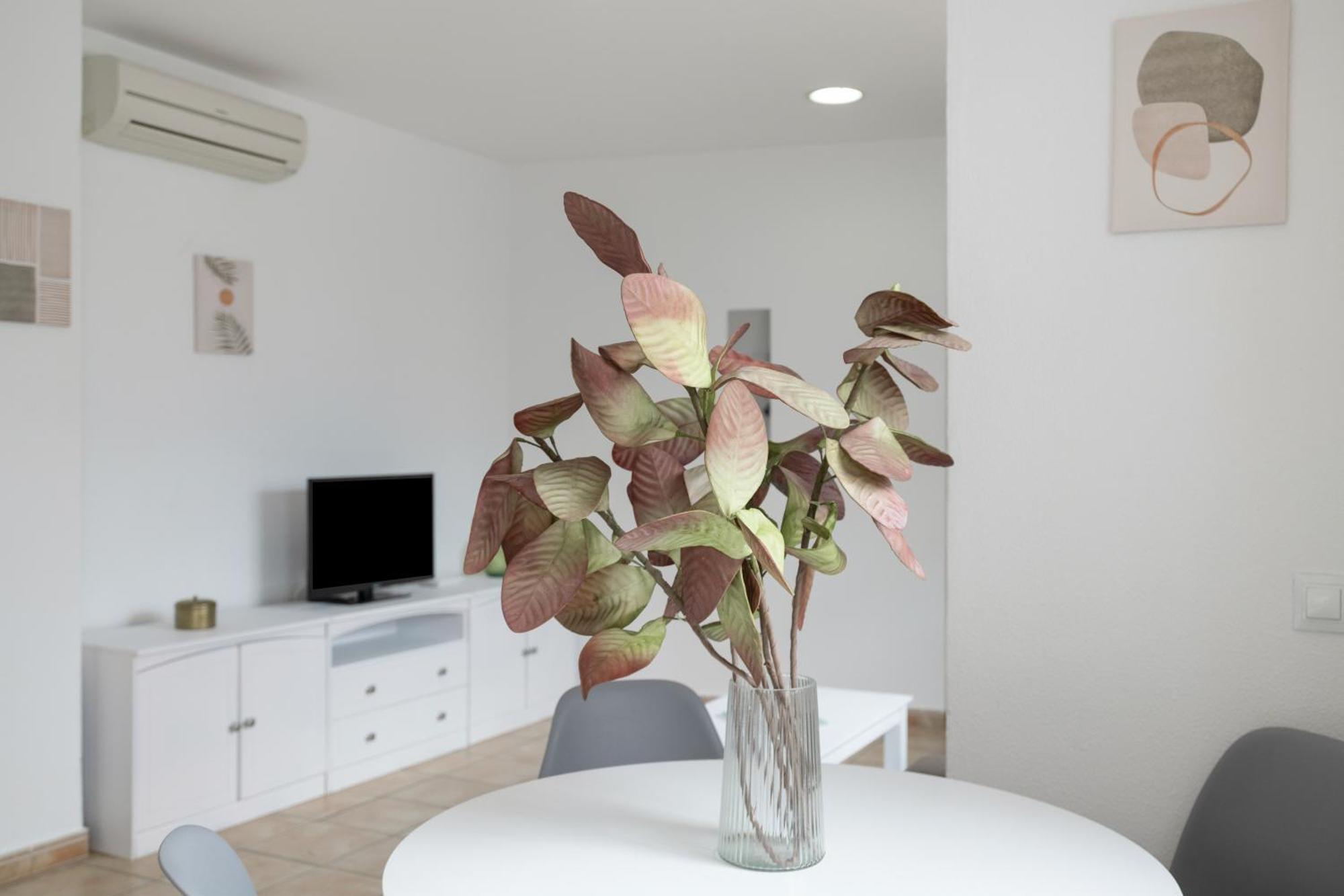 Apartamento Perez Zara 4 科尼尔-德拉弗龙特拉 外观 照片